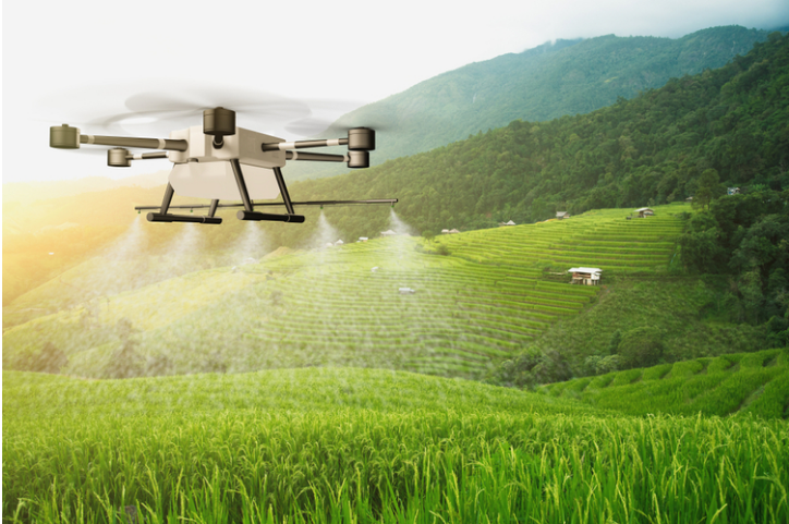 印度准许飞行无人机对抗蝗虫袭击(图1) 印度准许飞行无人机对抗蝗虫袭击(图1)